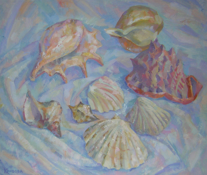 Морские раковины