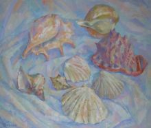 Морские раковины