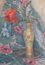 Красный мак