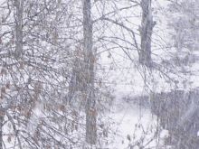 из серии "Акварели зимы"