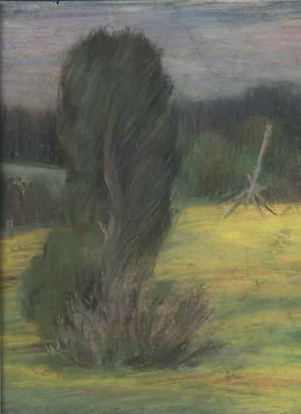 Дерево в цветущем поле