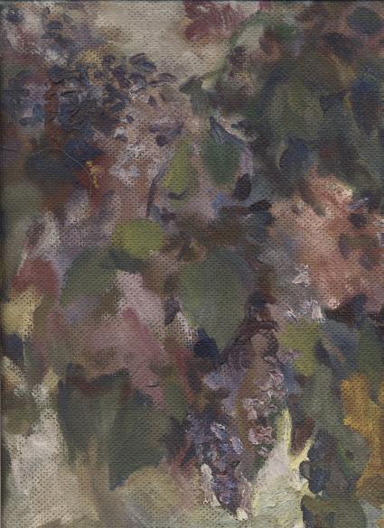 Сирень в мае