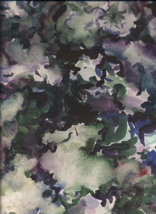 Сирень белая в саду