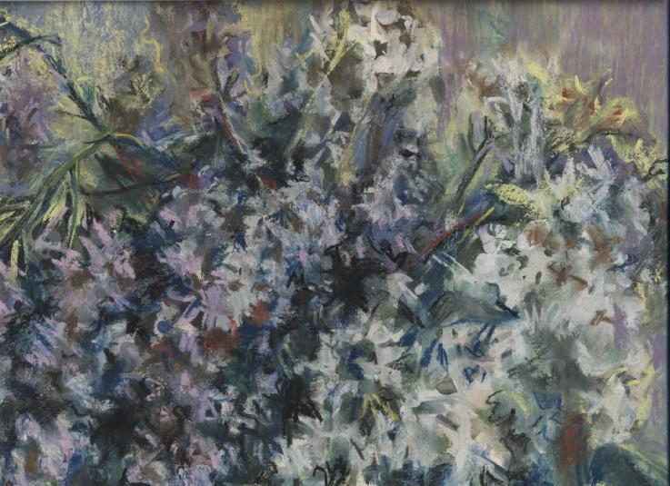 Сирень и черёмуха