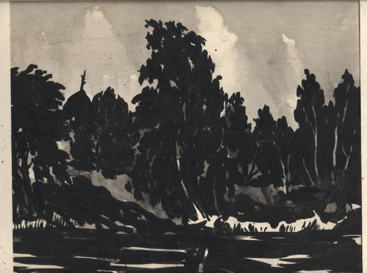 Деревья на опушке леса