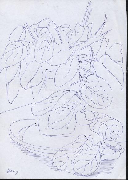 Декоративные цветы