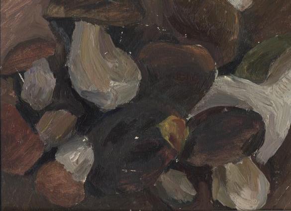 Белые грибы