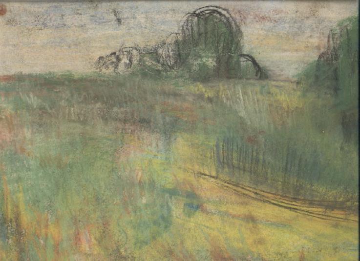 Луг из одуванчиков в мае