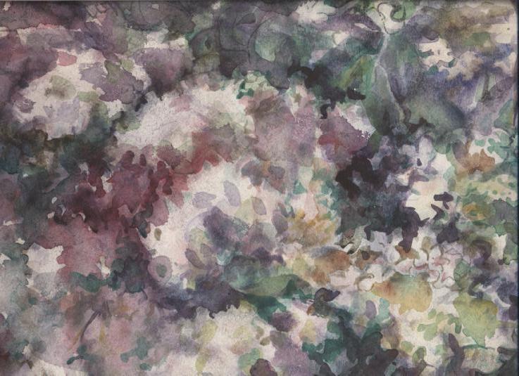 Распушилась сирень в саду