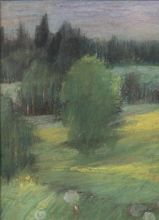 Одуванчиковое поле