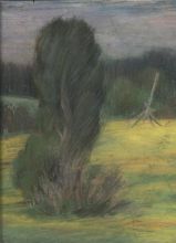 Дерево в цветущем поле