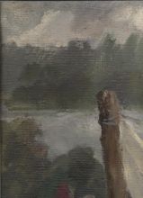 У озера Сомино