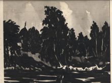 Деревья на опушке леса