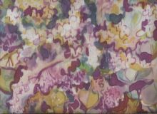 Сирень расцвела