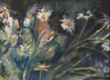 Ромашки заблистали в ночи