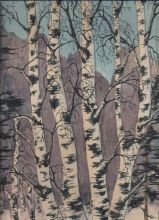 Берёзы зимой