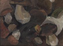 Белые грибы