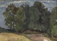 Деревья у опушки