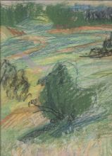 Куст в одуванчиковом поле