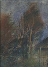 Рыжие берёзы