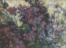 Сирень на солнце