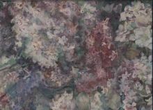 Сирень персидская и сирень белая