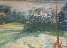 Скошенный луг