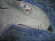 -почему меня не любят?