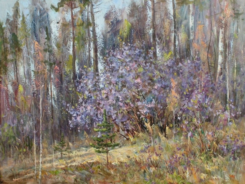 таежный багульник