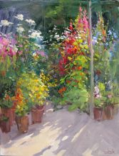 Цветы в нашем саду