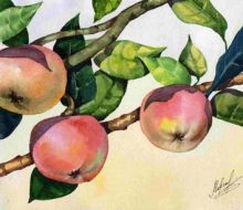 Акварель "Яблоки"