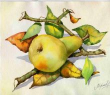 акварель "ГРУШИ"