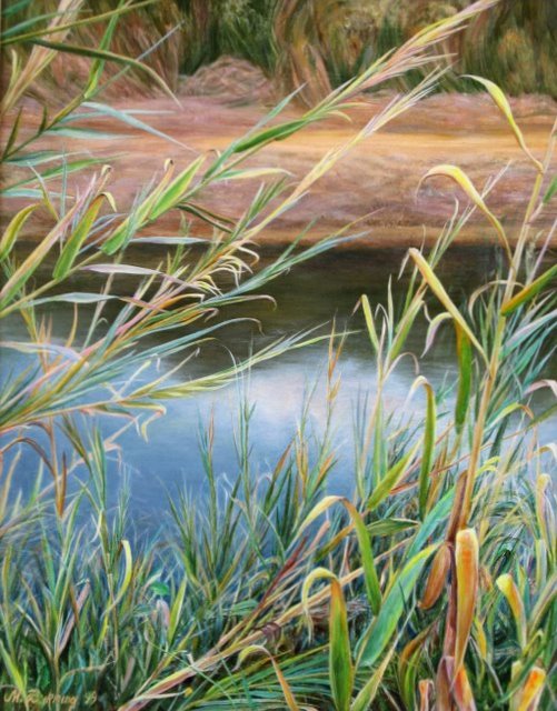 Сквозь заросли