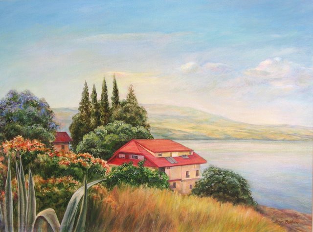 На берегу озера Кинерет