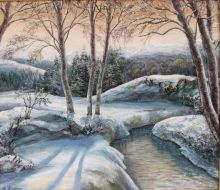 Зимой в Карпатах