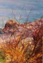 На берегу океана 