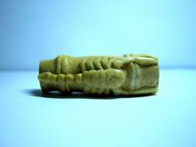 скорпион на бамбуке