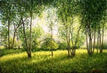 Ветер светом, тень полощет 