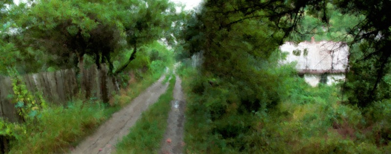 Деревенские дорожки Украины