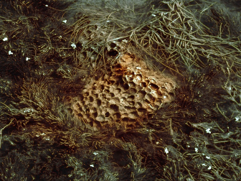 Кусочек Марса