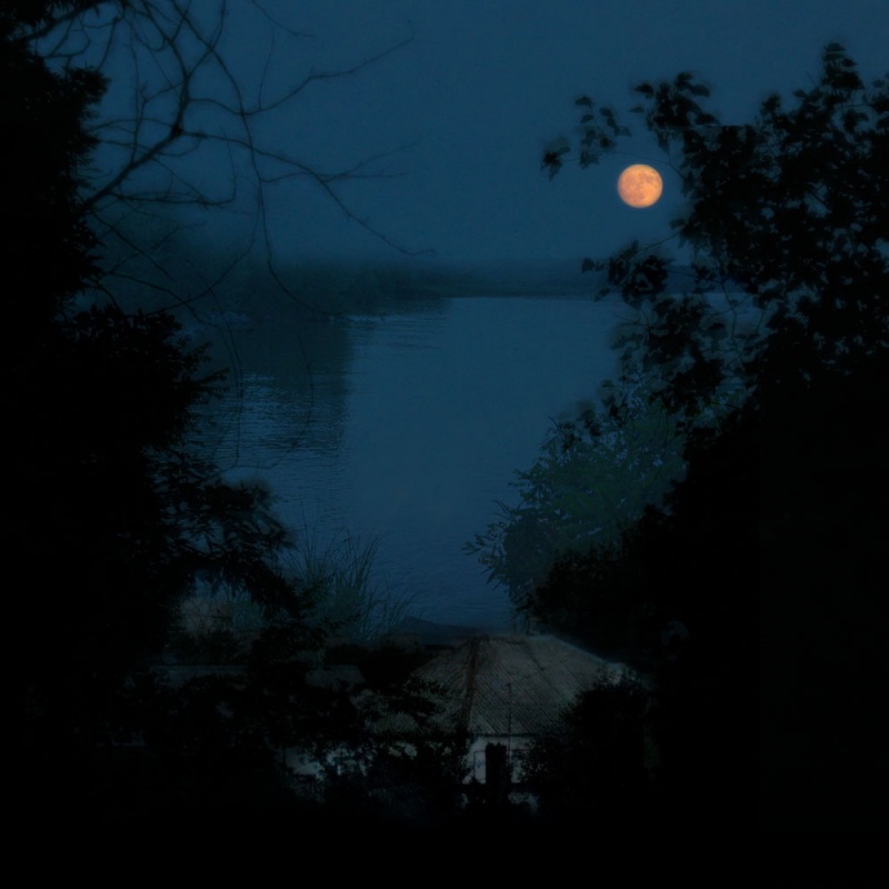 Тиха украинская ночь!