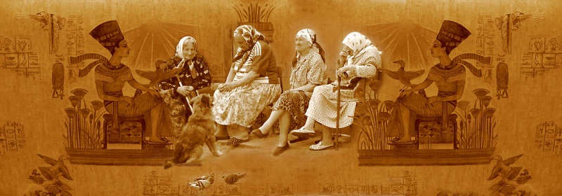 В гостях у Нефертити