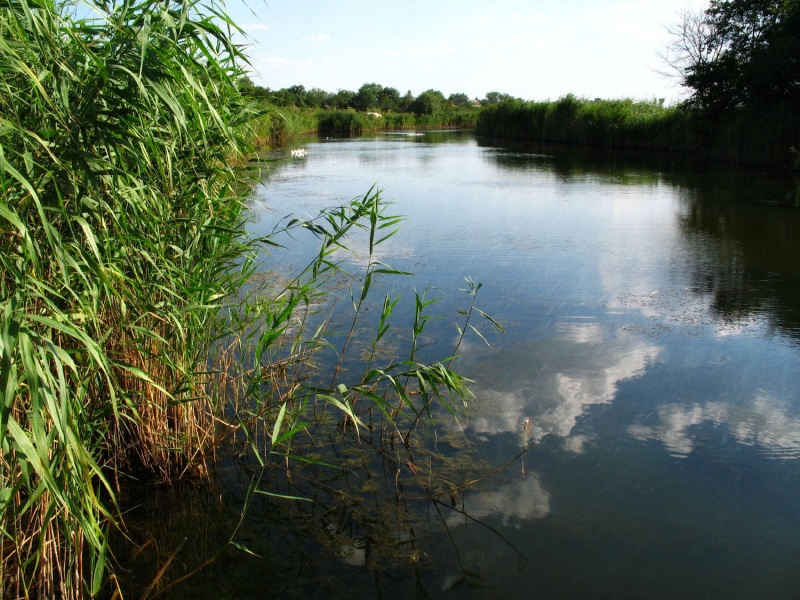 Власть красоты
