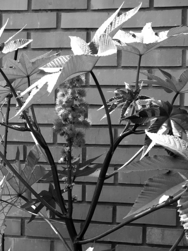 Всё - солнце!