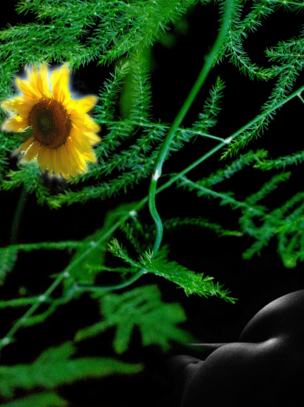 Жизнь растений