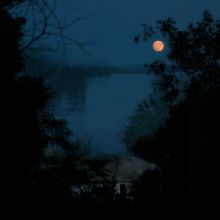 Тиха украинская ночь!