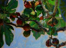 Смоковница.