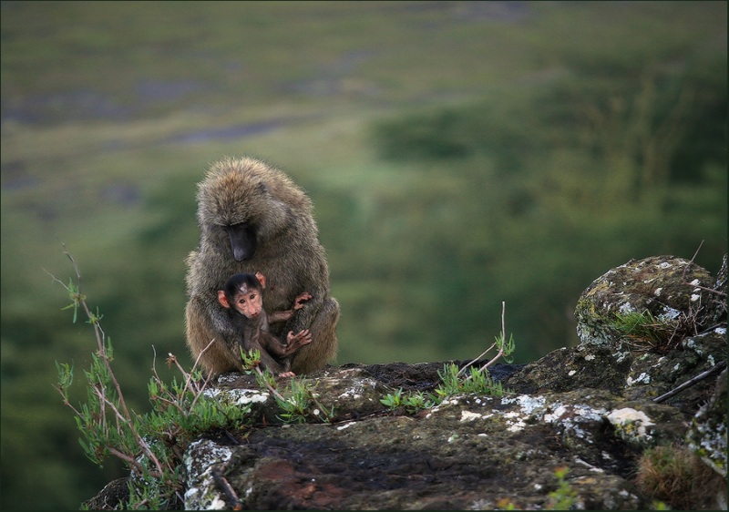 А мой ребенок самый красивый