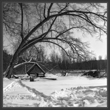 Сельская геометрия