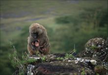 А мой ребенок самый красивый